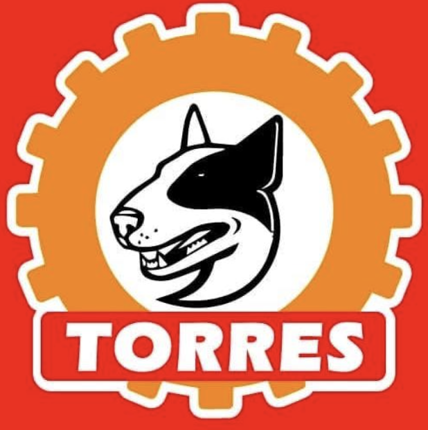 Logo Grúas Torres